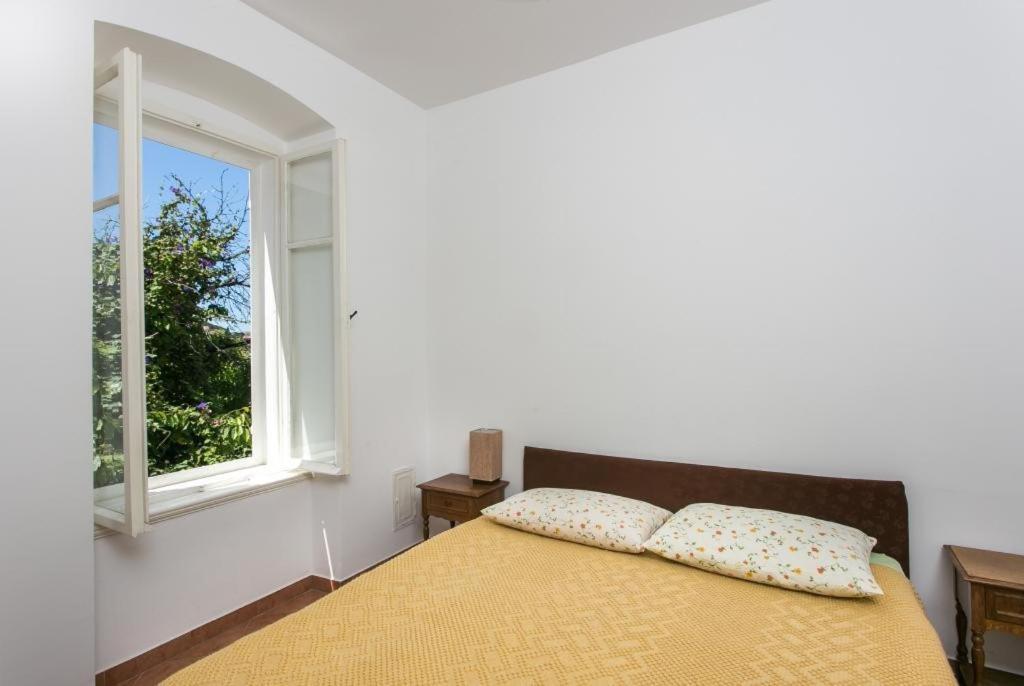 Apartment Tranquilo 杜布罗夫尼克 外观 照片