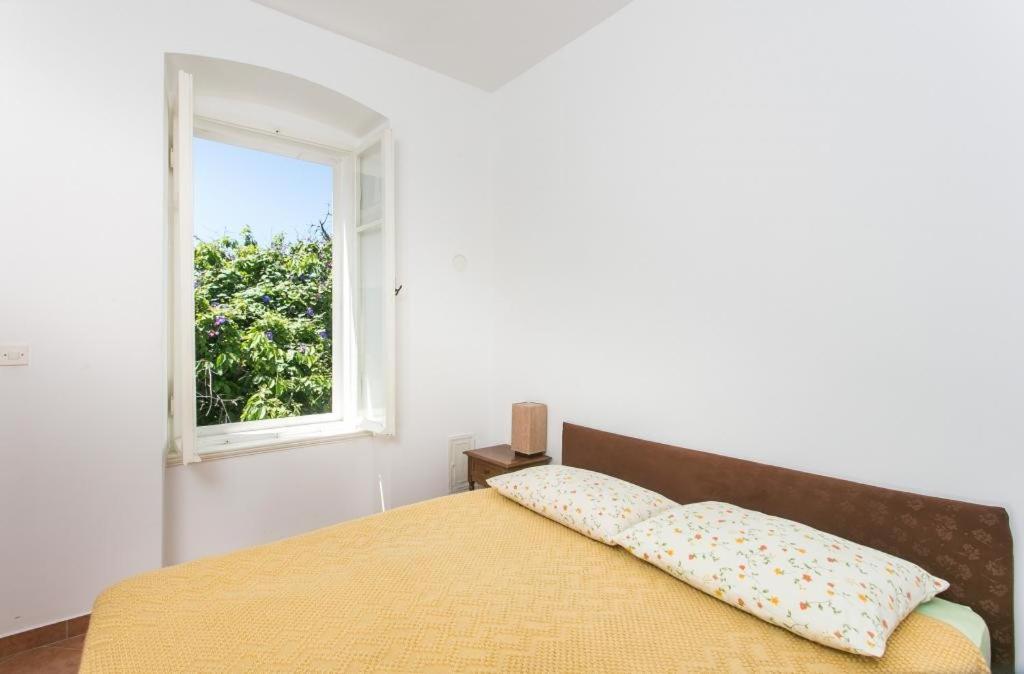 Apartment Tranquilo 杜布罗夫尼克 外观 照片