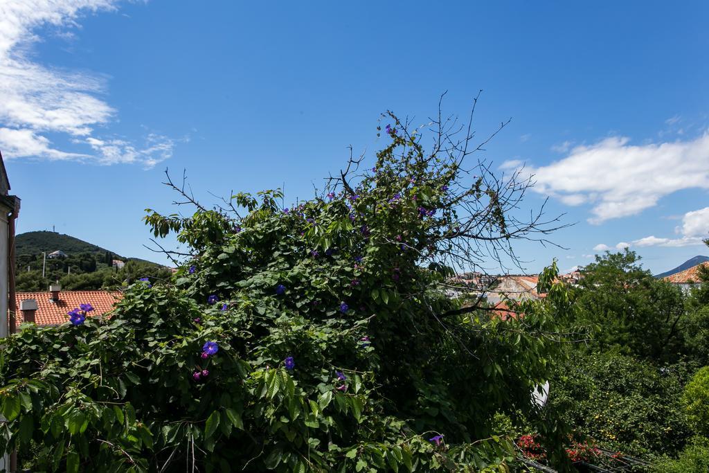 Apartment Tranquilo 杜布罗夫尼克 外观 照片